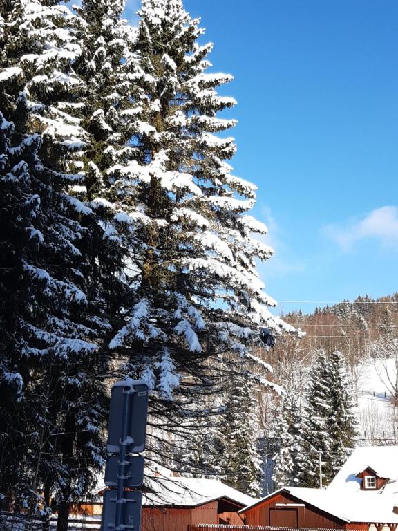 Apartmán Horní Lipová č. 3 room 1